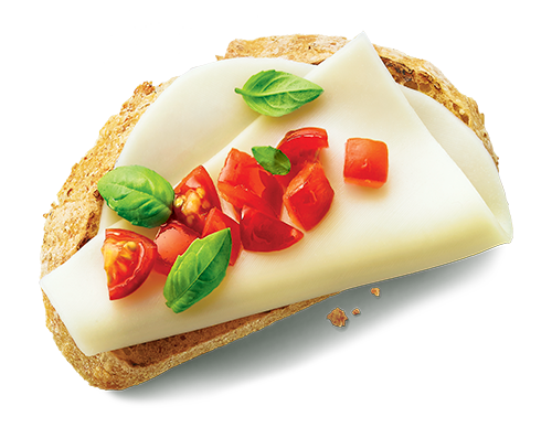 Mozzarella Style Slices